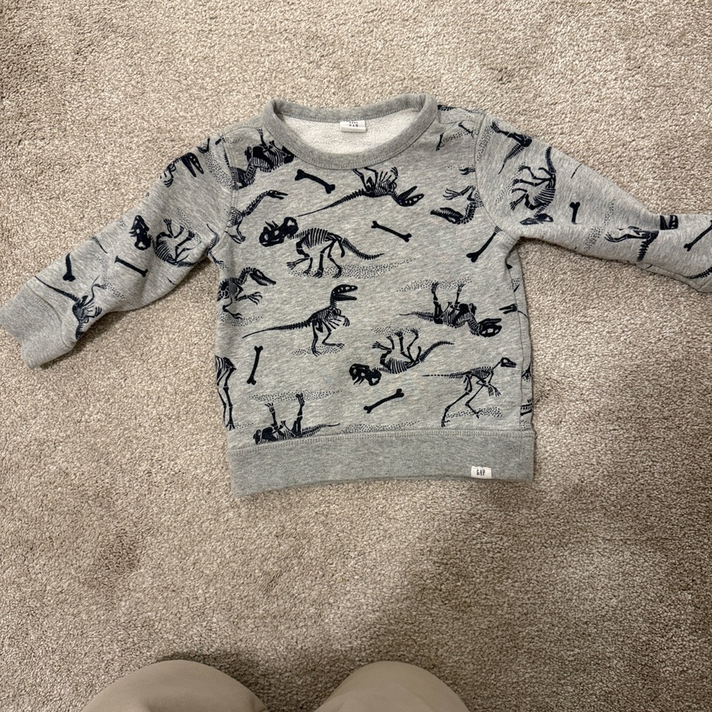 GAP Gray Kids Sweatshirt with Dinosaur Skeleton Print